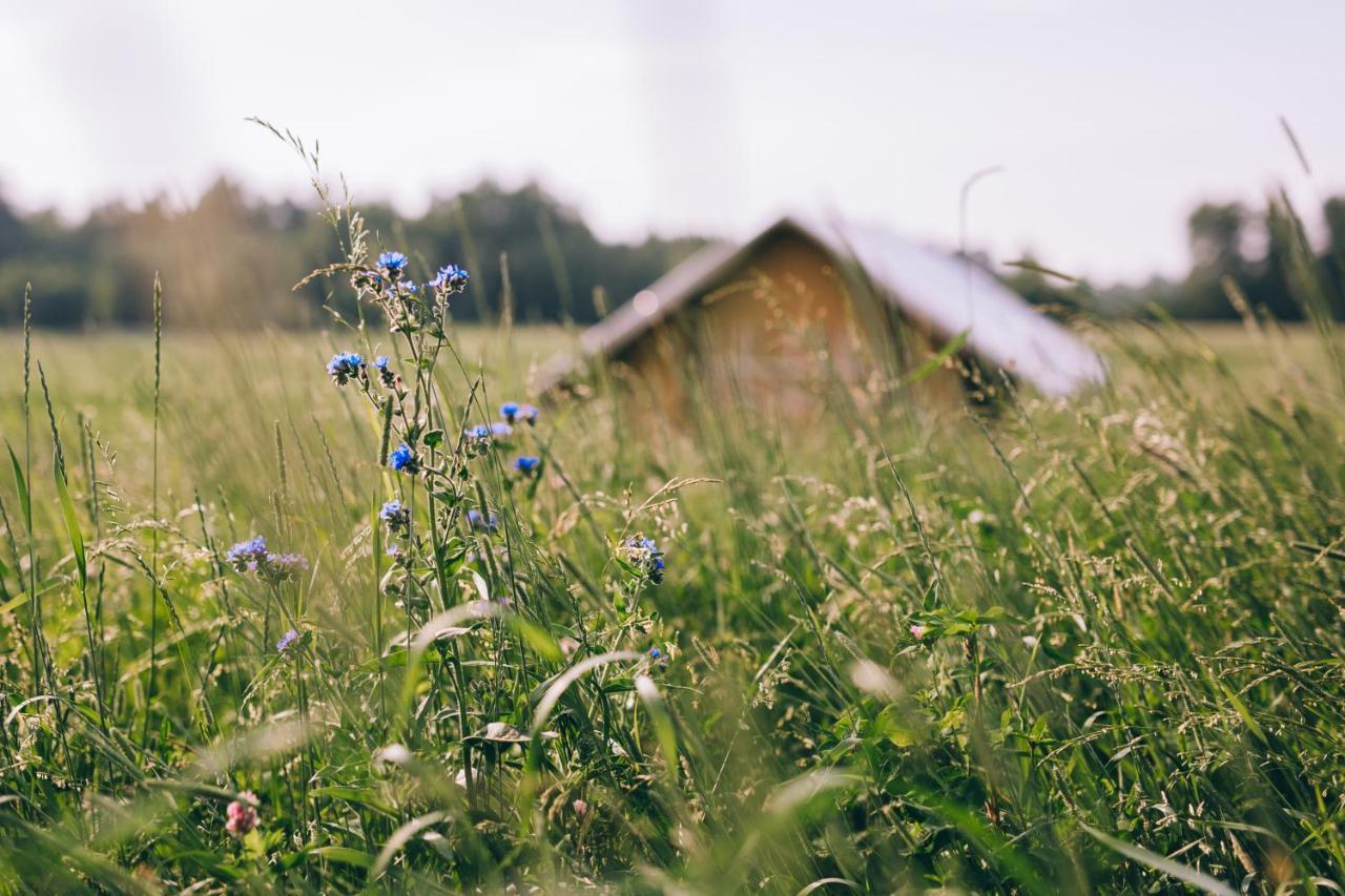 Muuski Glempings Korneti Exteriér fotografie