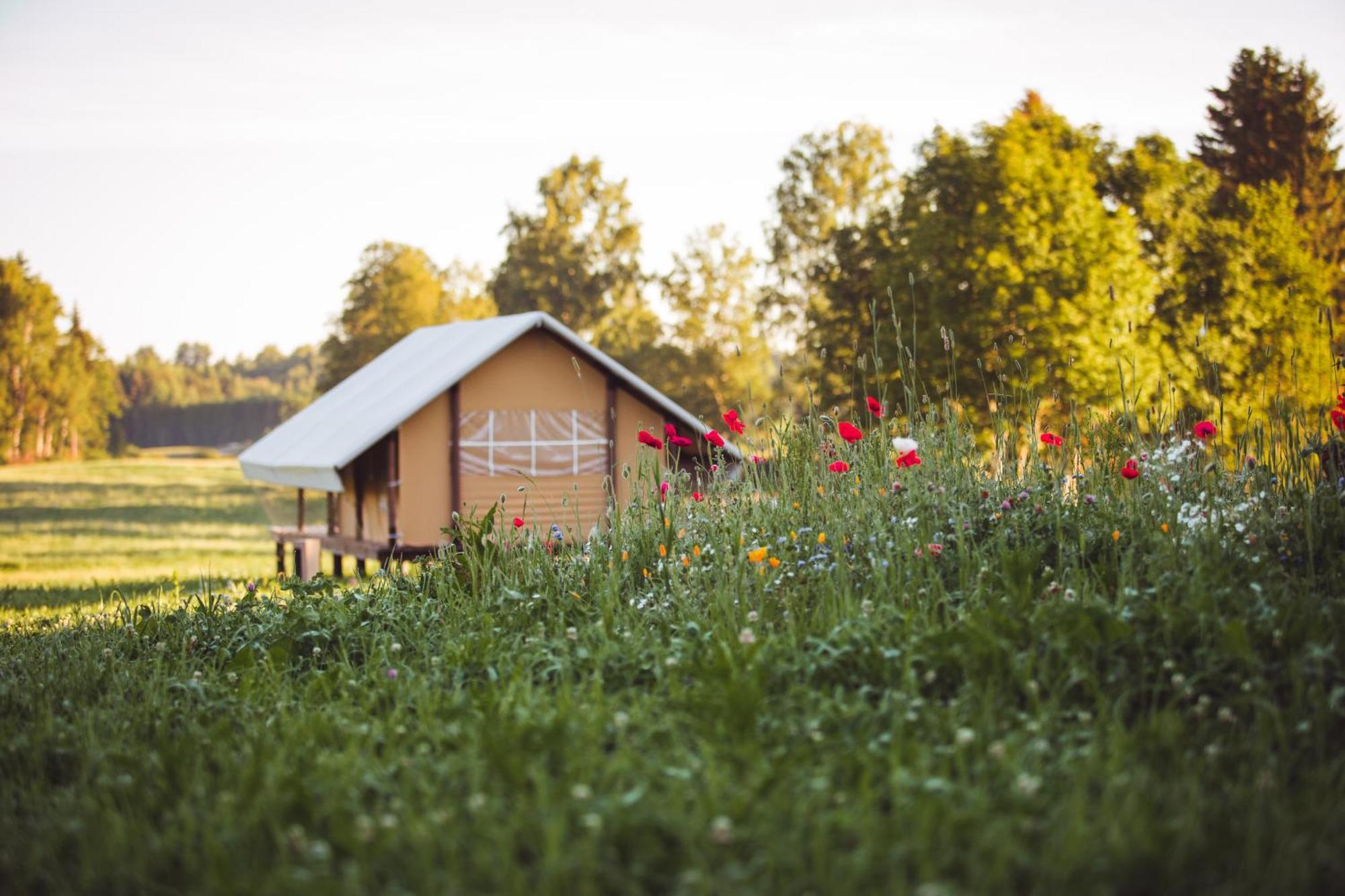 Muuski Glempings Korneti Exteriér fotografie