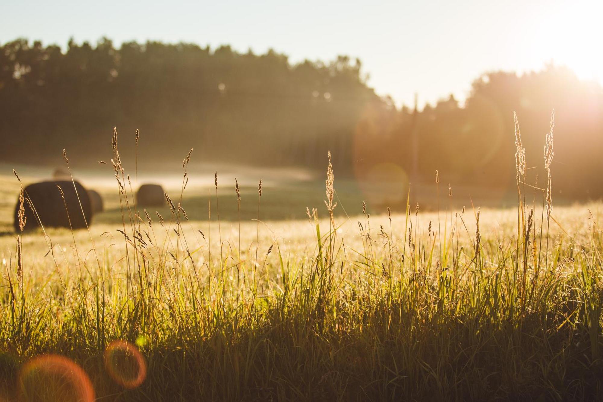 Muuski Glempings Korneti Exteriér fotografie