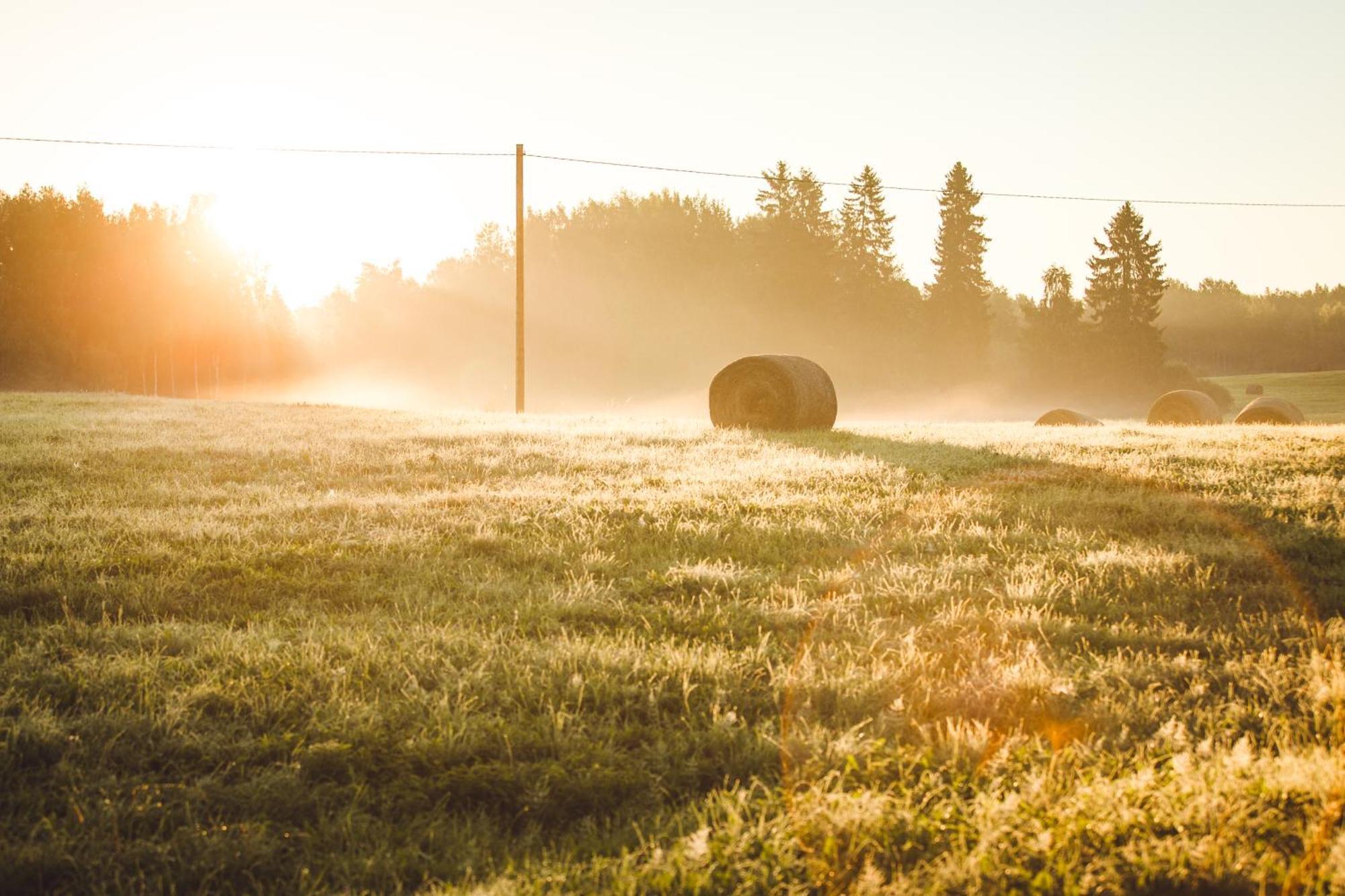 Muuski Glempings Korneti Exteriér fotografie